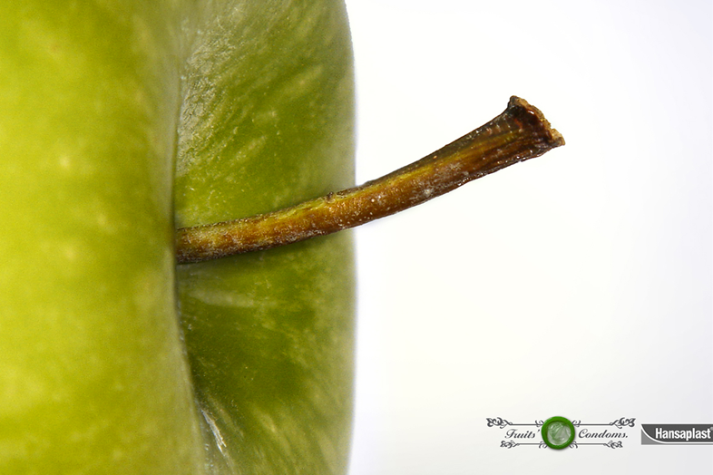 Bérengère Hours HANSAPLAST